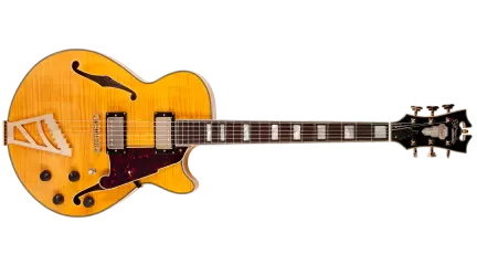 Single Cut Semi-Hollow Electric Guitar - Natural